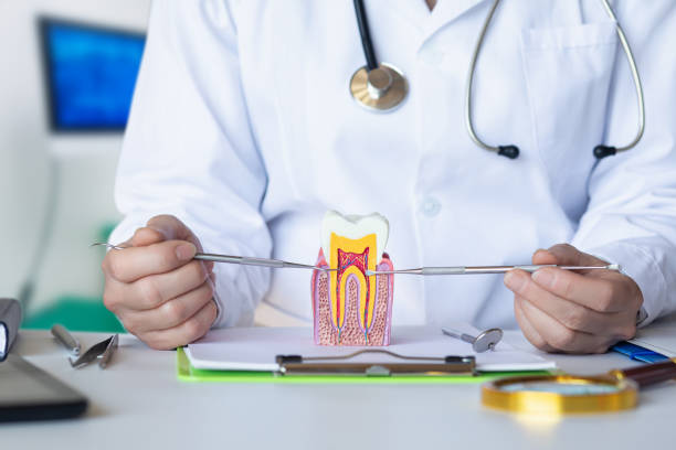 Best Emergency Gum Treatment in East Aurora, NY